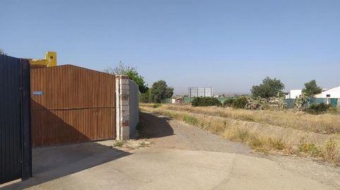 Foto 3 de Casa o chalet en venta en Diseminado, Rinconada, La Rinconada