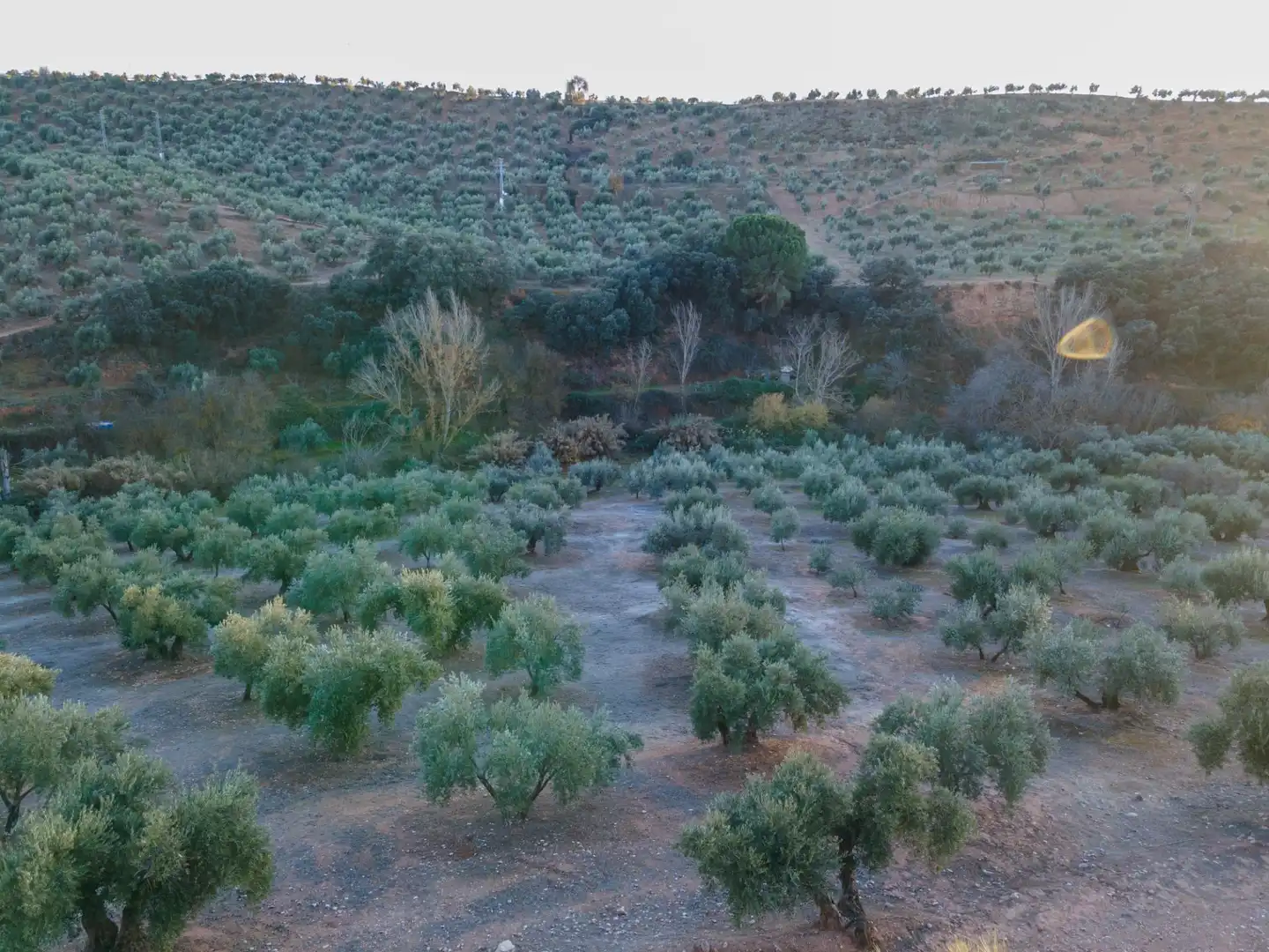 Terreno rustico in vendita a Calicasas, imagen 16