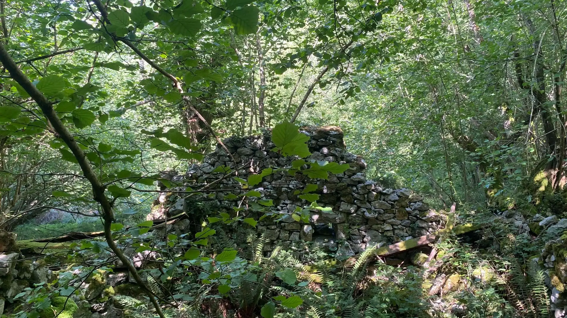 Terreno rustico in vendita a SEGÜENCO, imagen 25