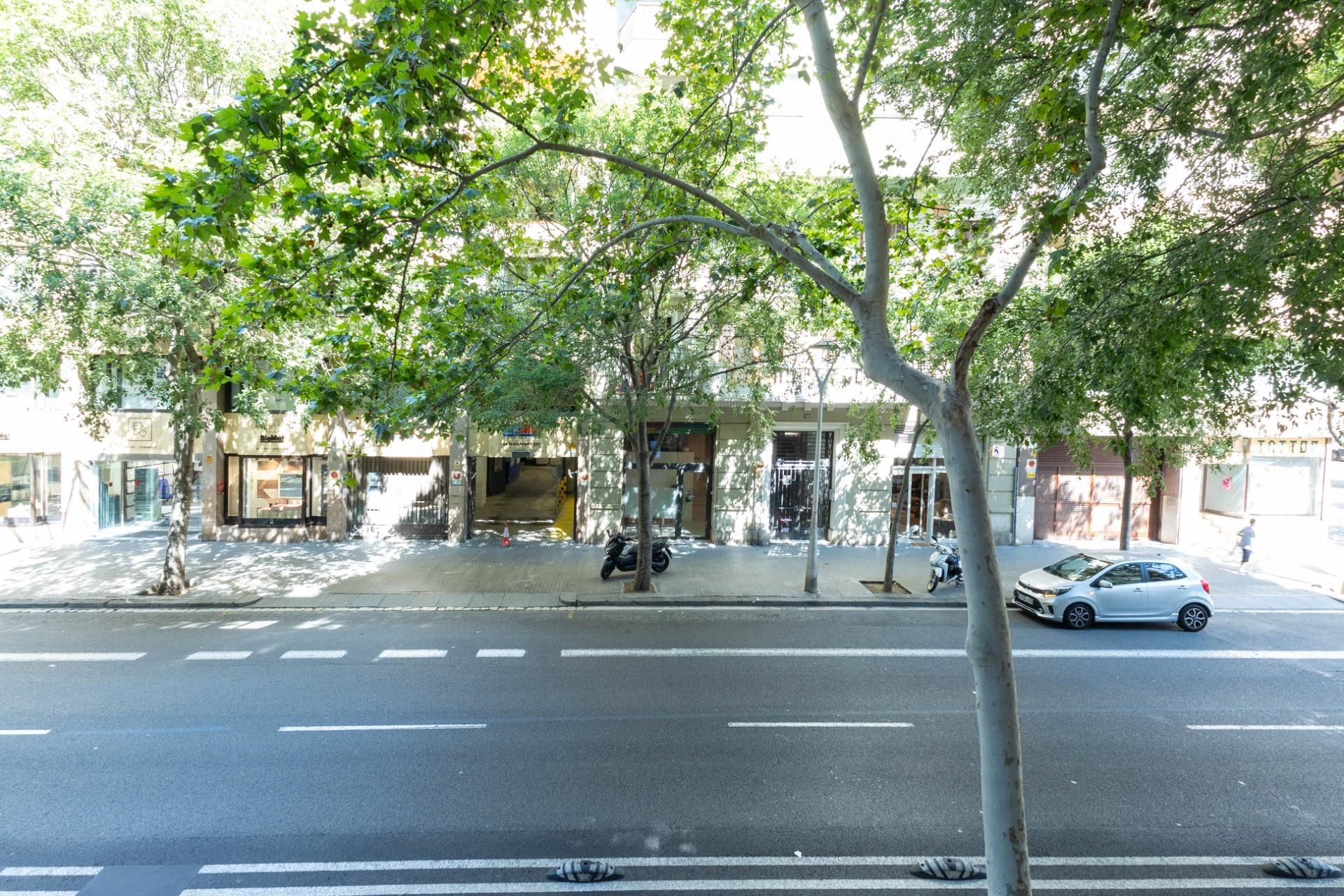 Pis en venda a Calle MALLORCA, La Nova Esquerra de l'Eixample, Eixample,  Barcelona Capital