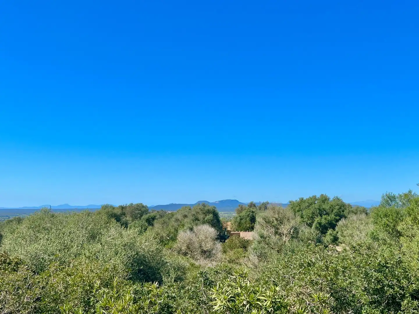 Finca rústica de alquiler en Campos con Aire acondicionado, Calefacción y Jardín privado