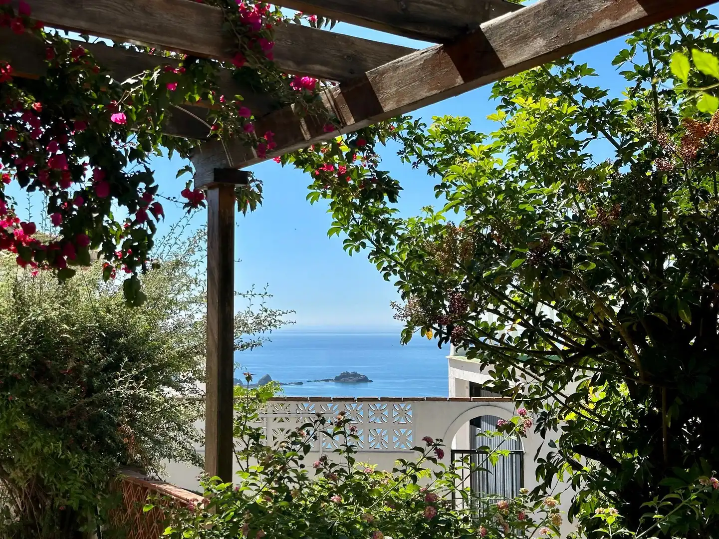 Maison avec jardin à vendre à miramar alto 11, imagen 13