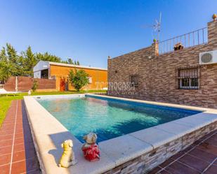 Swimming pool of Country house for sale in Chiclana de la Frontera  with Swimming Pool