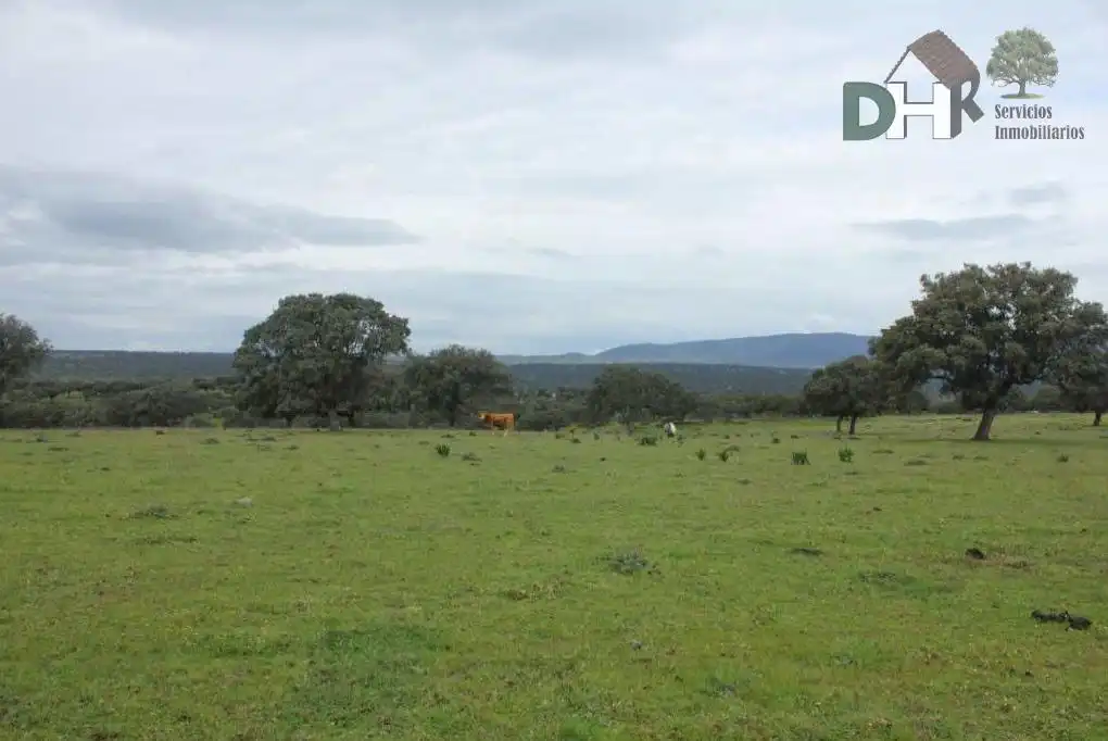 Terreni e lotti in vendita a Valdesalor - Rincón de Ballesteros, imagen 4