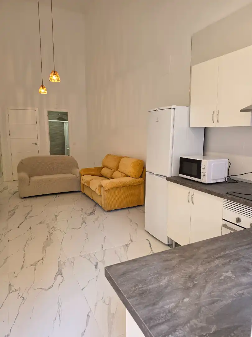 Estudio de alquiler en Calle Maestro Guerrero, 11, Parque Ayala - Jardín de la Abadía - Huelín
