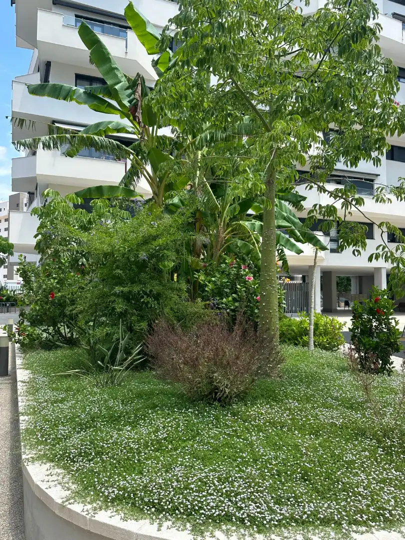 Jardín de Apartamento de alquiler en Alicante / Alacant con Aire acondicionado, Amueblado y Horno