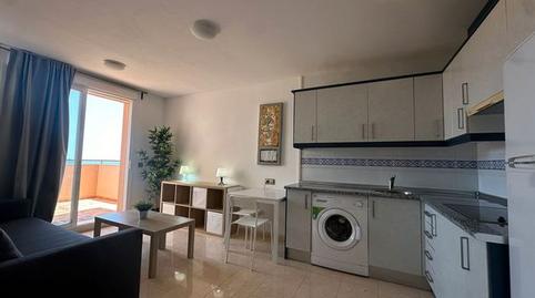 Foto 4 de Loft de alquiler en Calle las Encinas, 48, La Envía, Almería