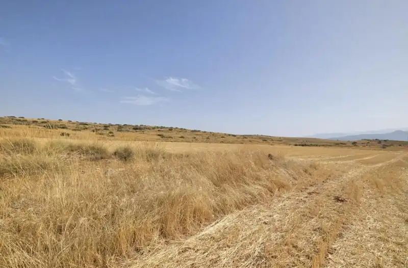 Terreni e lotti in vendita a Padul, imagen 19