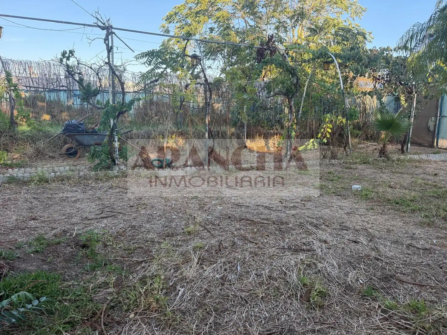 Terreno rustico in vendita a Las Tres Piedras - Costa Ballena, imagen 13