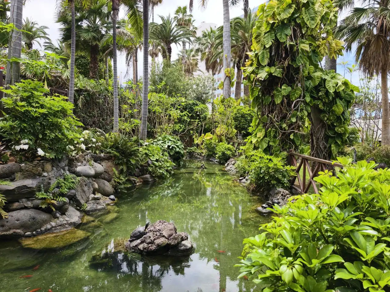 Jardí de Estudi en venda en Los Realejos amb Piscina i Moblat