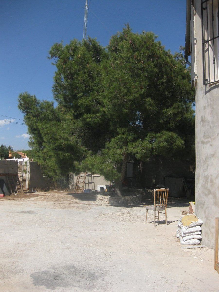 Jardín de Casa o chalet en venta en Elche / Elx con Piscina