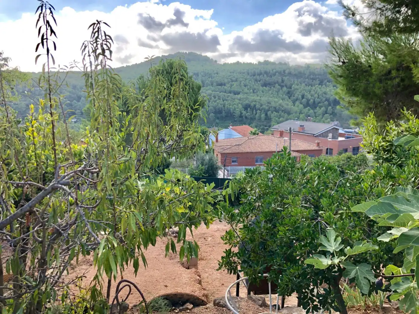 Wohnbaugrundstück zum Verkauf in Corbera de Llobregat, imagen 12