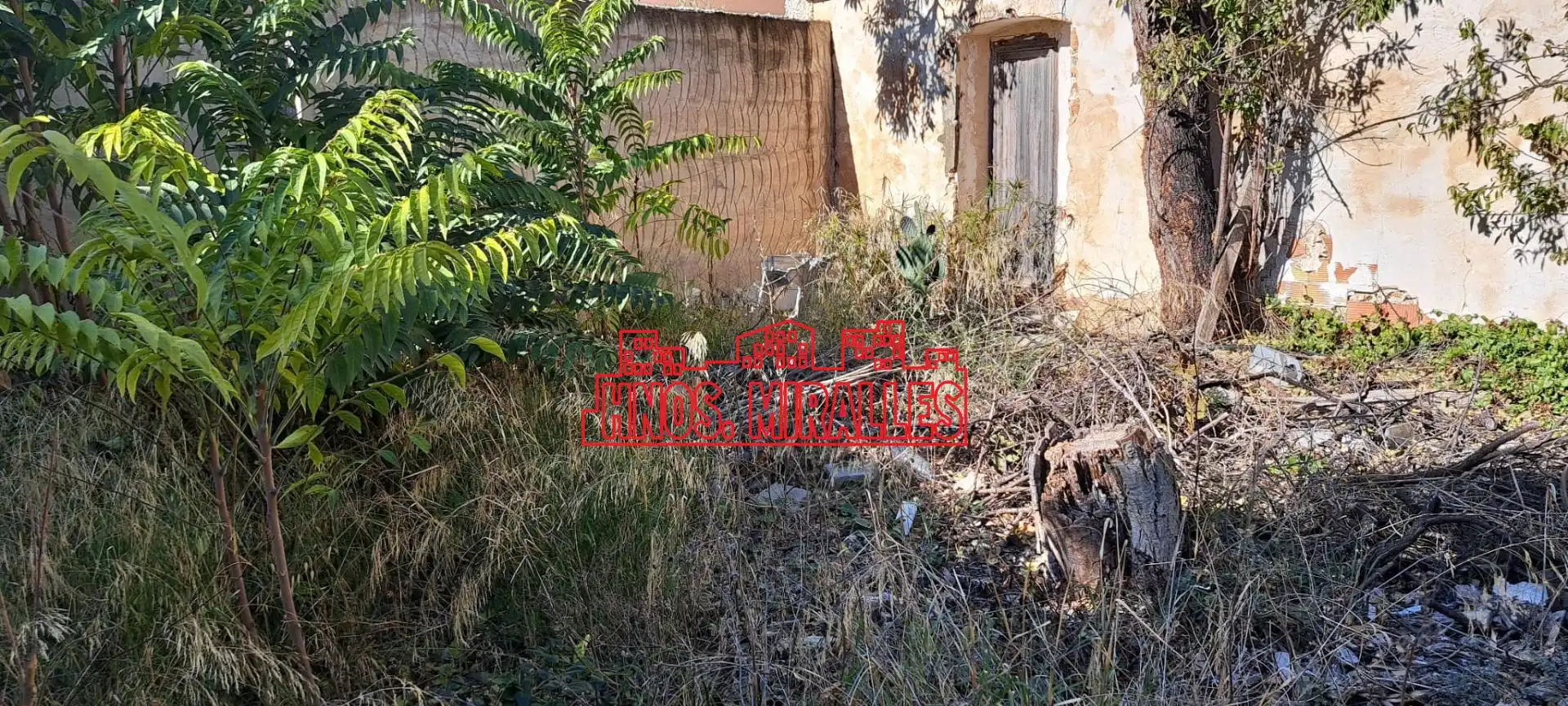 Commercial properties for sale in Hondón de las Nieves / El Fondó de les Neus