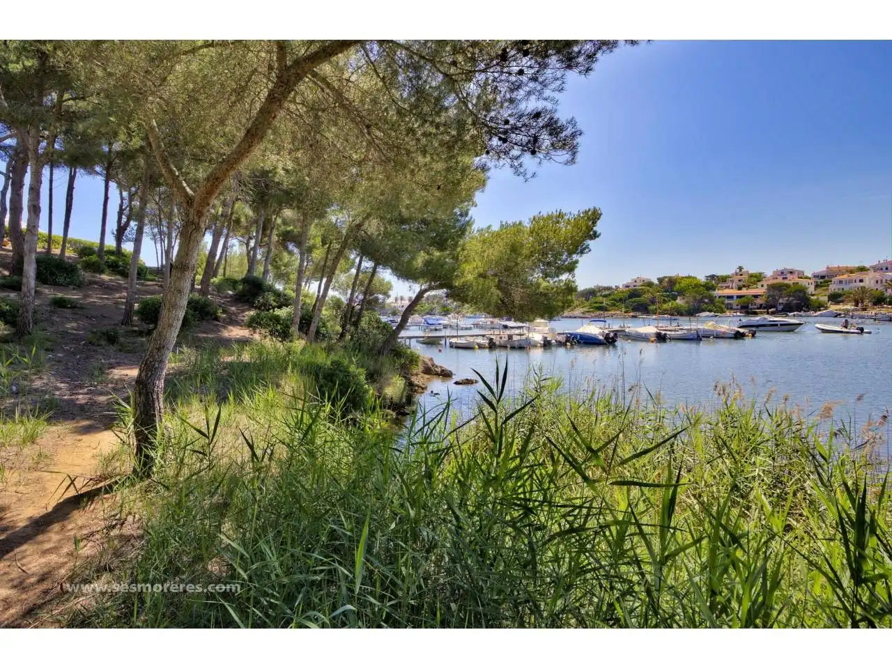 Residential land for sale in Coves Noves, imagen 18