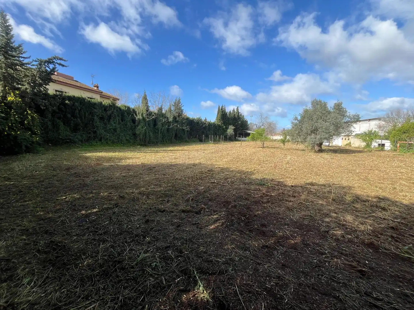 Residential for sale in Palomares del Río