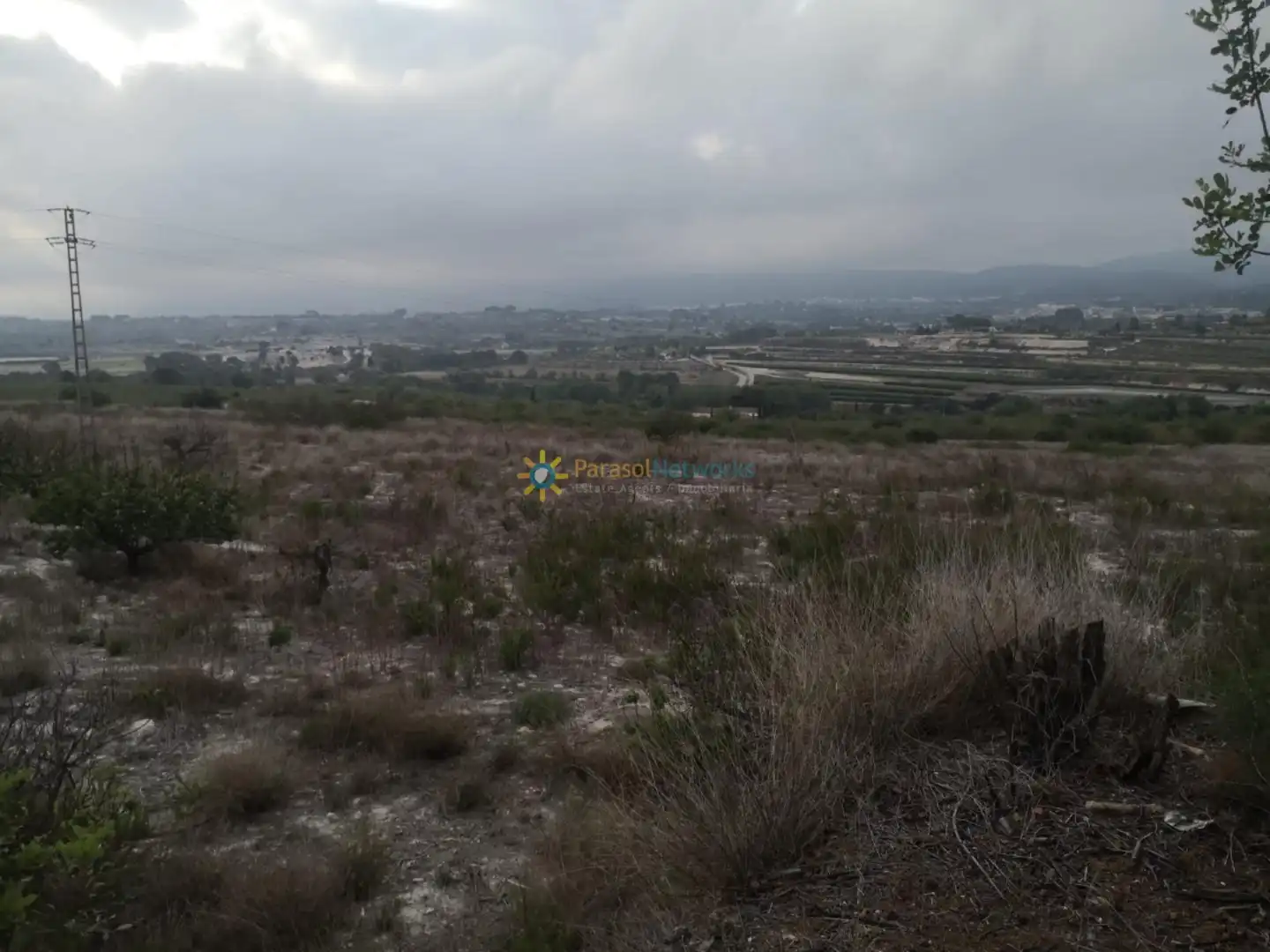 Terreny rústic en venda a Albaida, imagen 3
