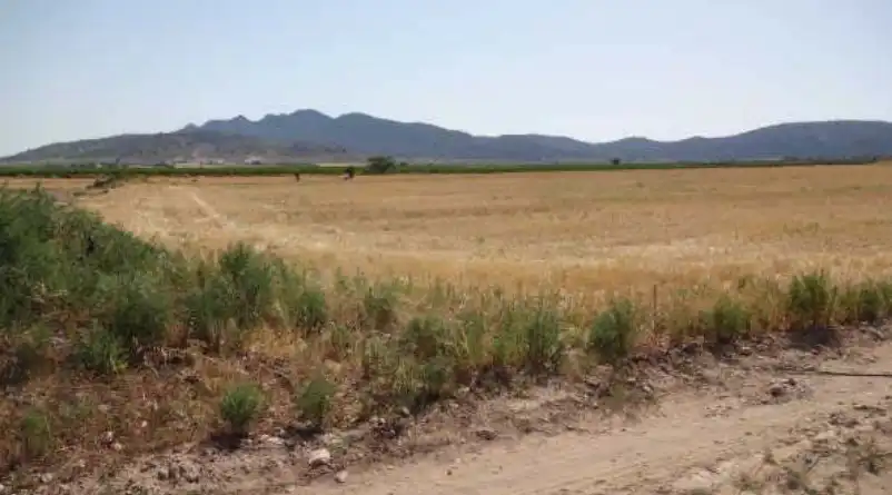Terreni e lotti in vendita a Paraje Charquillos - El Carche, imagen 7