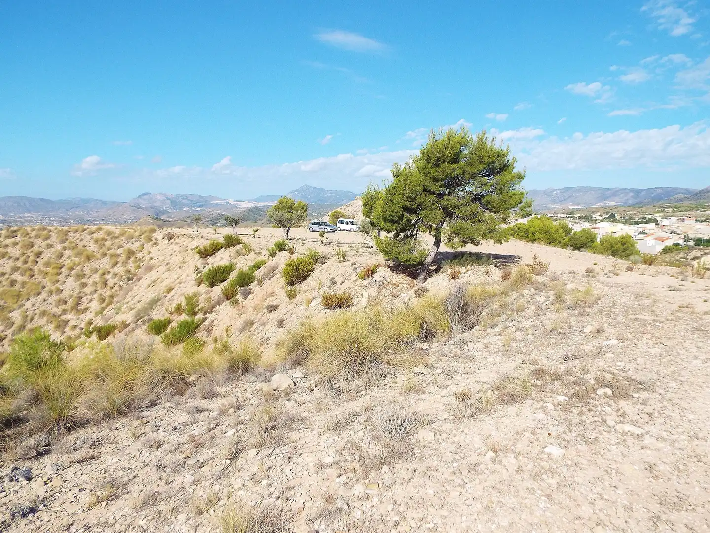 Lands and plots for sale in Abanilla, imagen 7