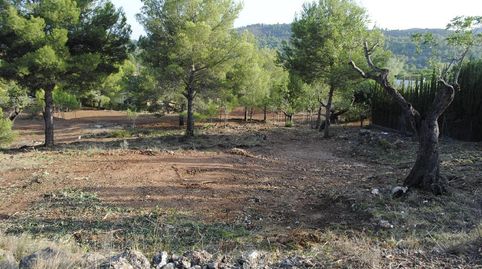 PARCELA EN URBANIZACION LA COMA CON VISTAS INIGUALABLES AL CAMPO DE GOLF Y LA MONTAÑA, imatge 2