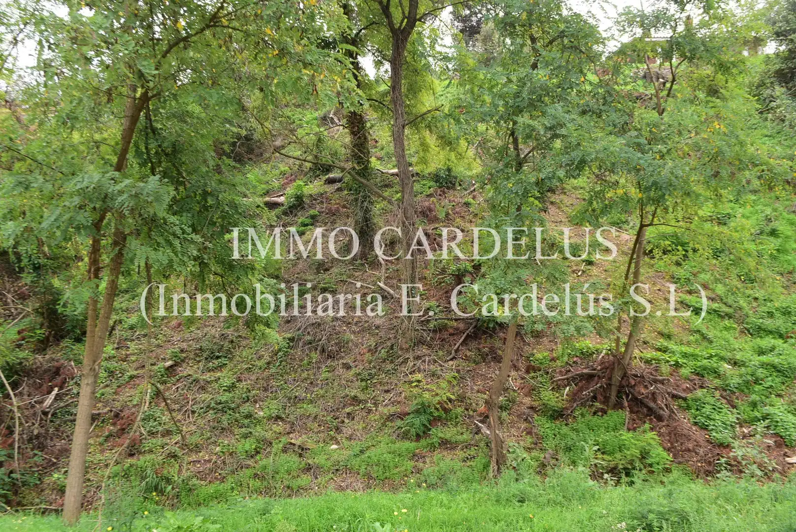 Residential land for sale in Vallgorguina