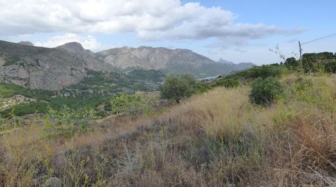 Se vende terreno rústico de 11.291 m2 de superficie, en el polígono de Umbríes, en Beniardá.
Es una explotación agraria en régime, imatge 3
