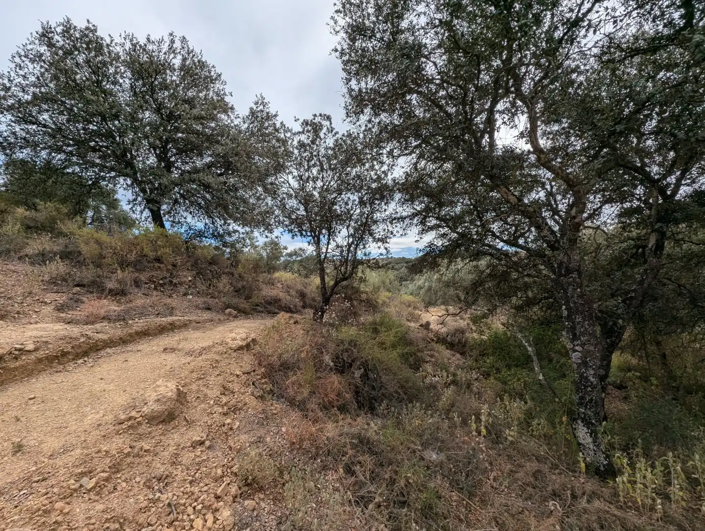 Casa o xalet en venda en Loja amb Calefacció, Jardí privat i Terrassa