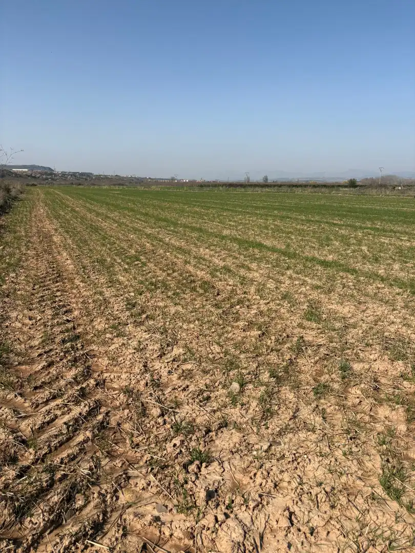Terreno rustico in vendita a Arrúbal, imagen 5