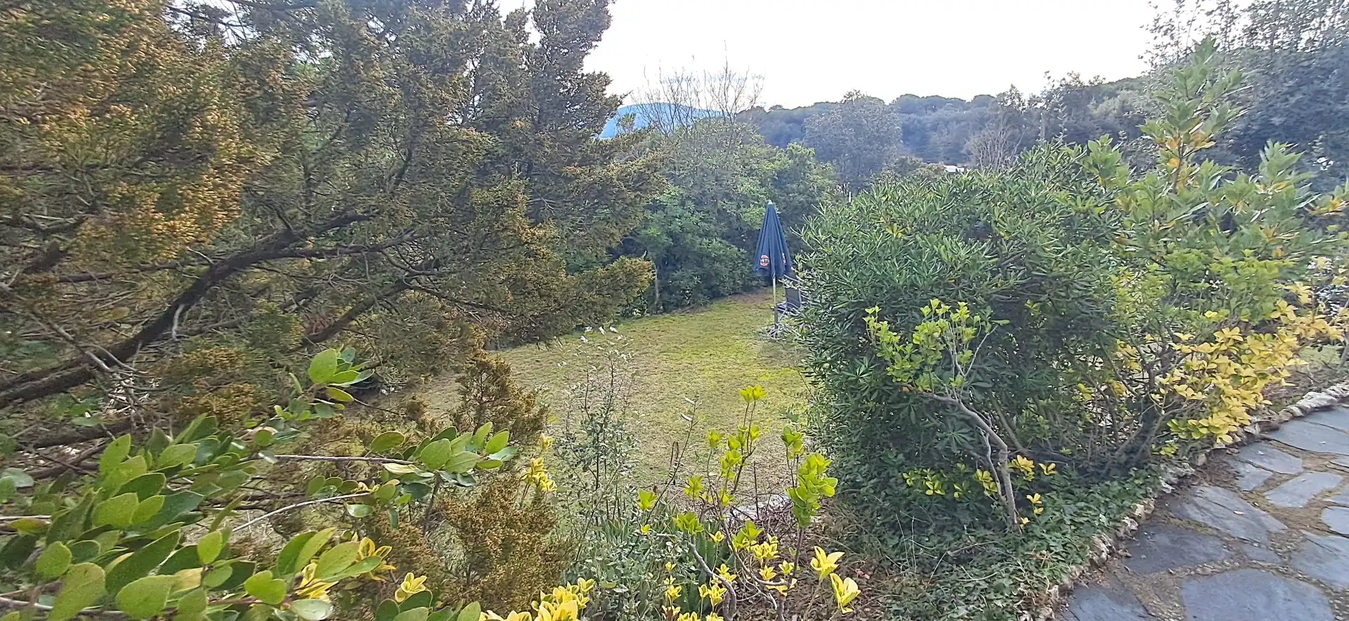 Residential land for sale in Carrer del Mestral, imagen 8