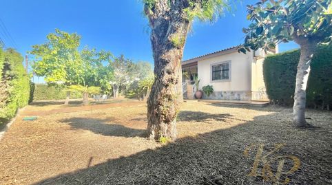 Photo 3 of Houses for sale in Calle Raul Fernandez Gimenez, Los Balcones - Los Altos, Torrevieja