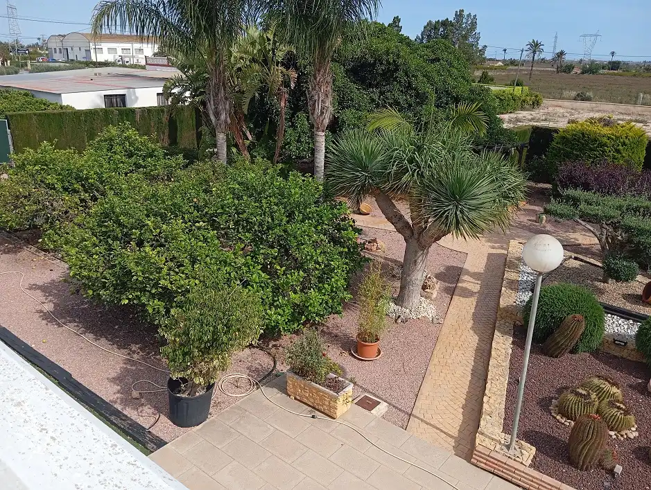 Terraza de Casa o chalet en venta en Elche / Elx con Jardín privado, Terraza y Piscina