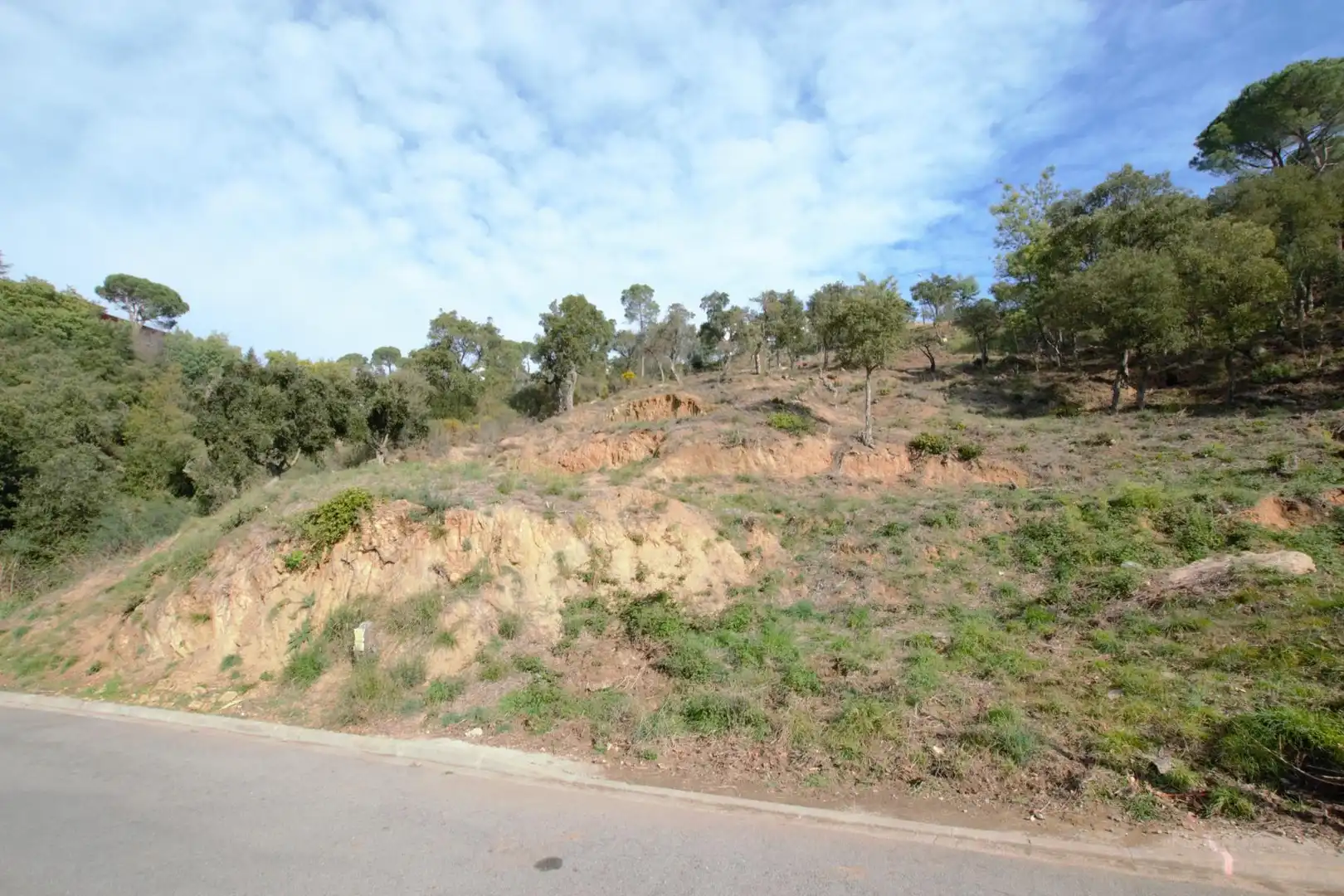 Terreny residencial en venda a Eucaliptus 9