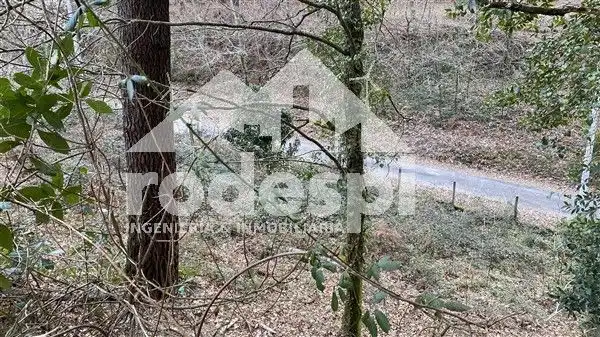 Terreny rústic en venda a A Cañiza, imagen 11