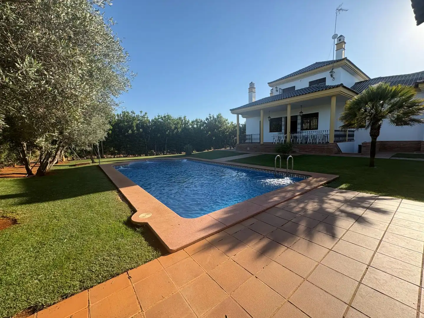 Piscina de Casa o chalet en venta en Mairena del Alcor