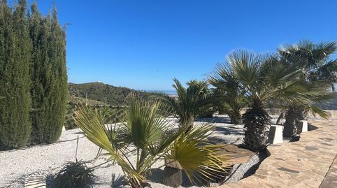 Foto 3 de Finca rústica de lloguer a Calle Almendrillo, 7, Norte - Barrio del Pilar - El Reñidero, Vélez-Málaga