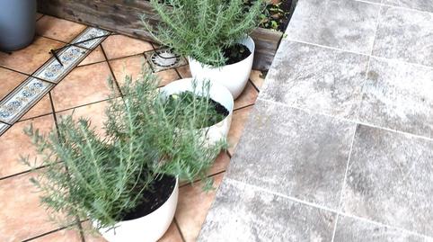 Foto 4 de Estudi de lloguer a Calle Belmonte, Velilla de San Antonio, Spain, 11, Velilla de San Antonio, Madrid