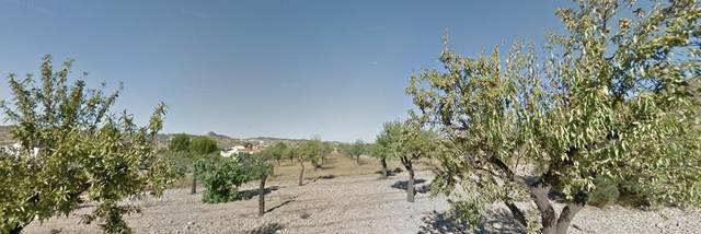Terreno residencial en Venta en Hondón de los Frailes