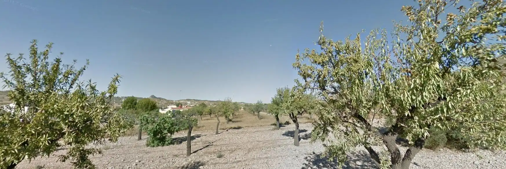 Terreno residencial en venta en Hondón de los Frailes