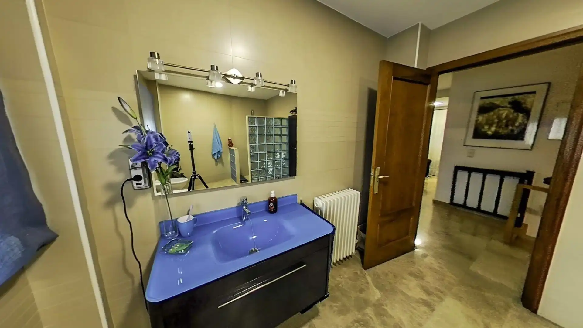 Bany de Casa o xalet en venda en Xàtiva