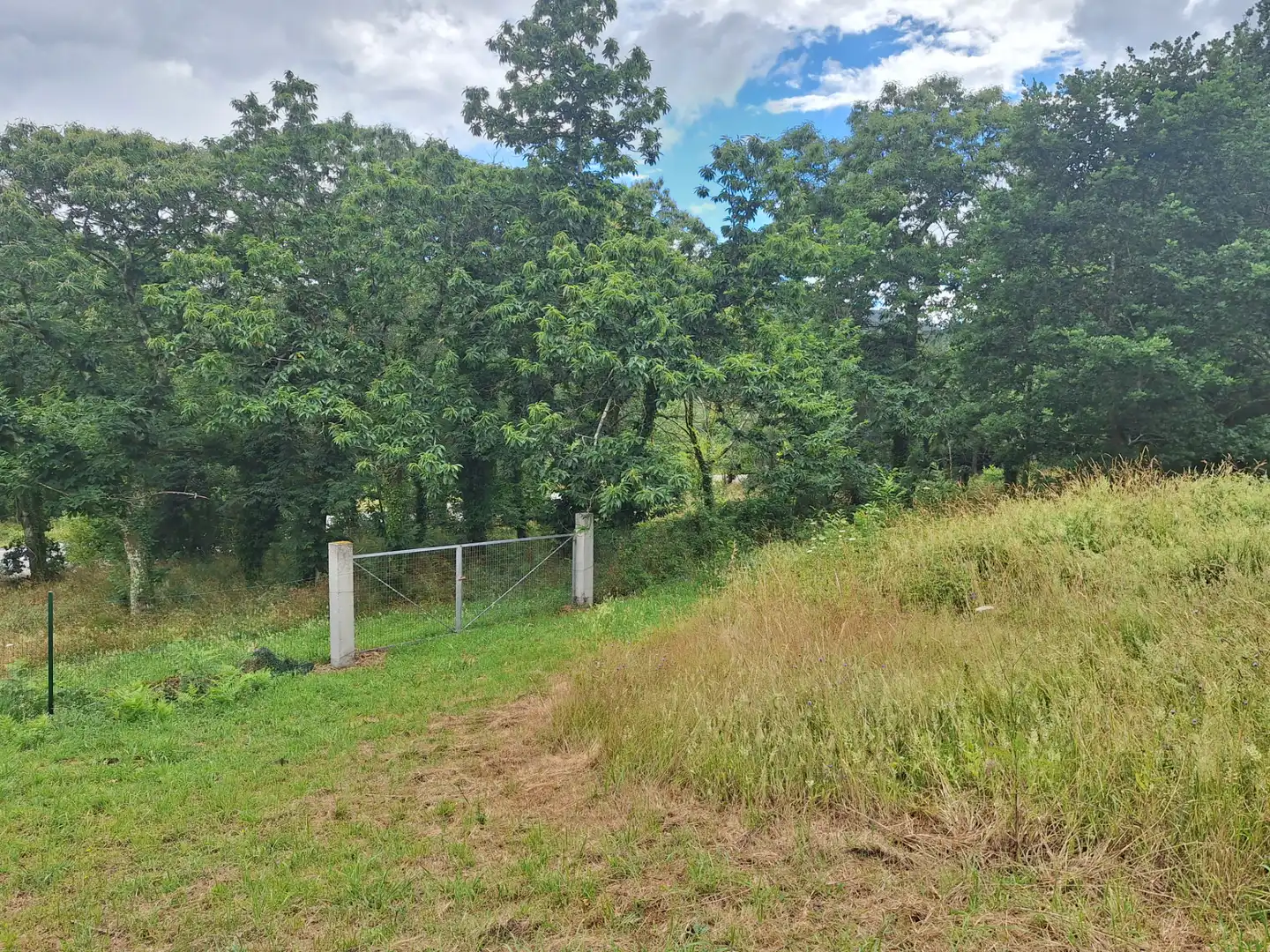 Grundstücke zur Miete in Culleredo