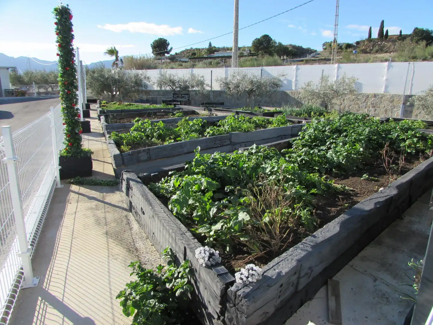 Garden of Country homes for sale in Los Gallardos  with Air Conditioner, Heating and Terrace