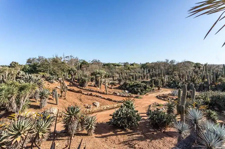 Casa rústica en venta en Ses Salines Poble, imagen 2