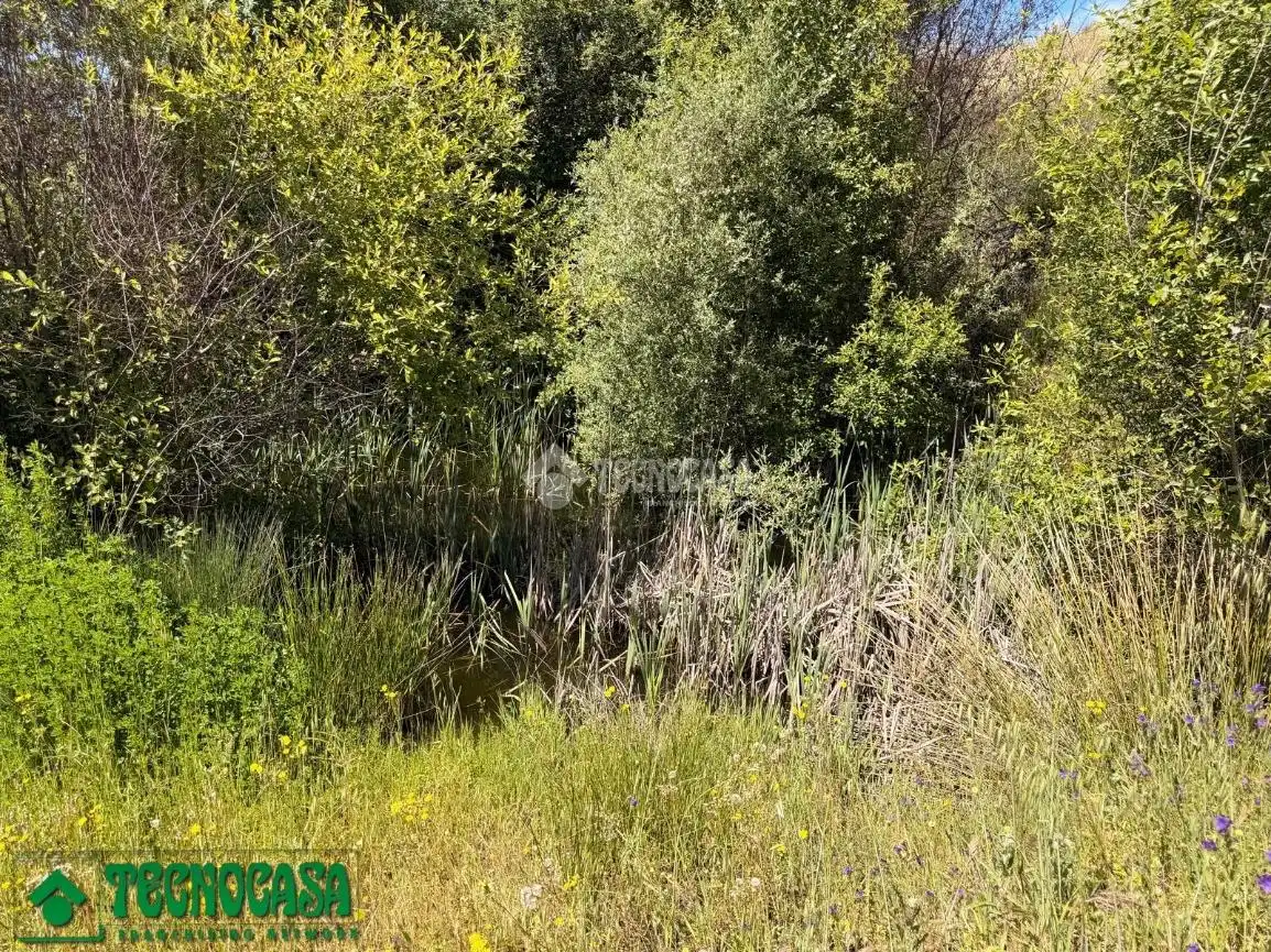 Land for sale in La Torre de Esteban Hambrán