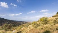 Land for sale in Zona baja, imagen 3
