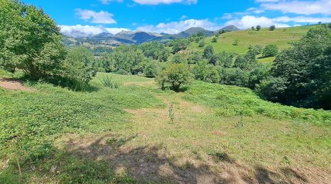 FINCA EDIFICABLE CON VISTAS A 10 MINUTOS DE CANGAS DE ONIS, immagine 5