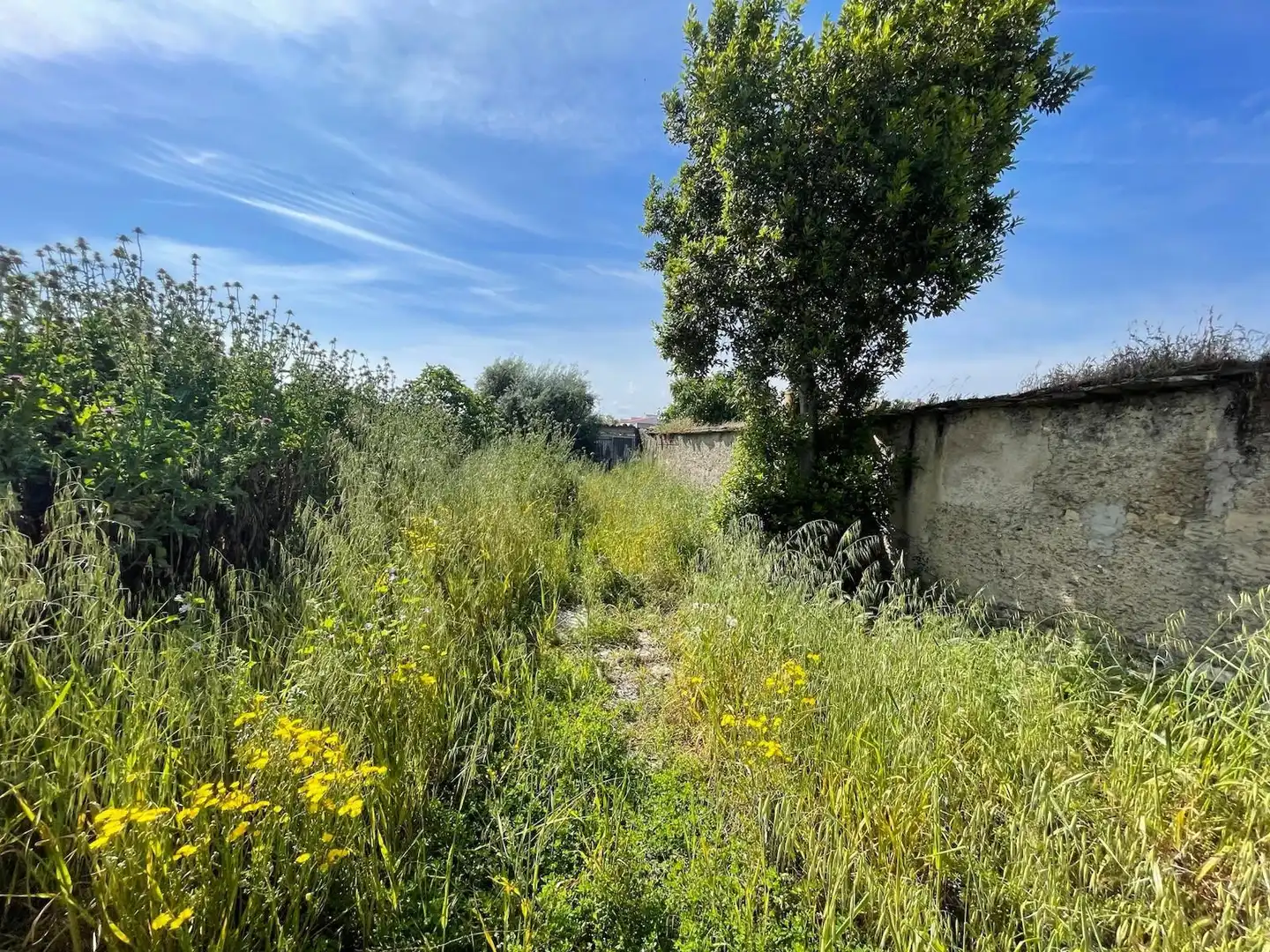 Casa o xalet en venda en Hinojal amb Traster i Balcó