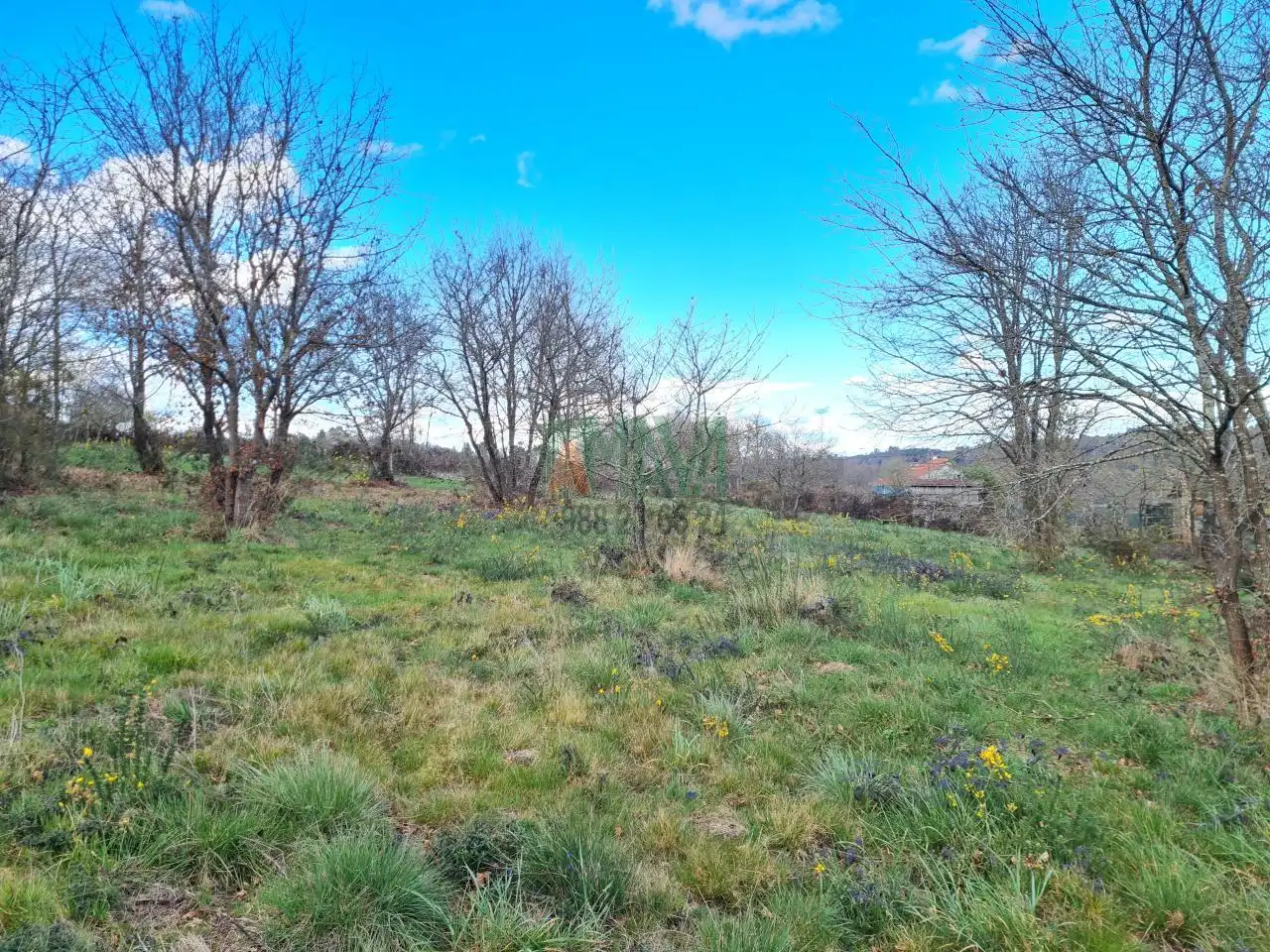 Terreni e lotti in vendita a Carretera de Celanova, imagen 5