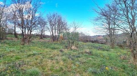Photo 5 of Residential for sale in Carretera de Celanova, San Cibrao das Viñas, Ourense