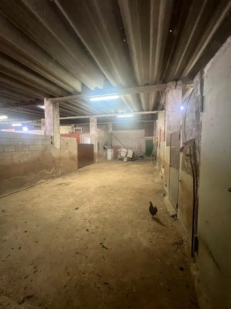 Terreno industrial en venta en Murcia