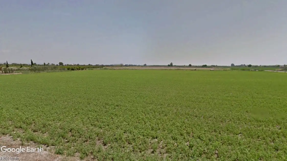 Terreno rustico in vendita a Catral, imagen 3