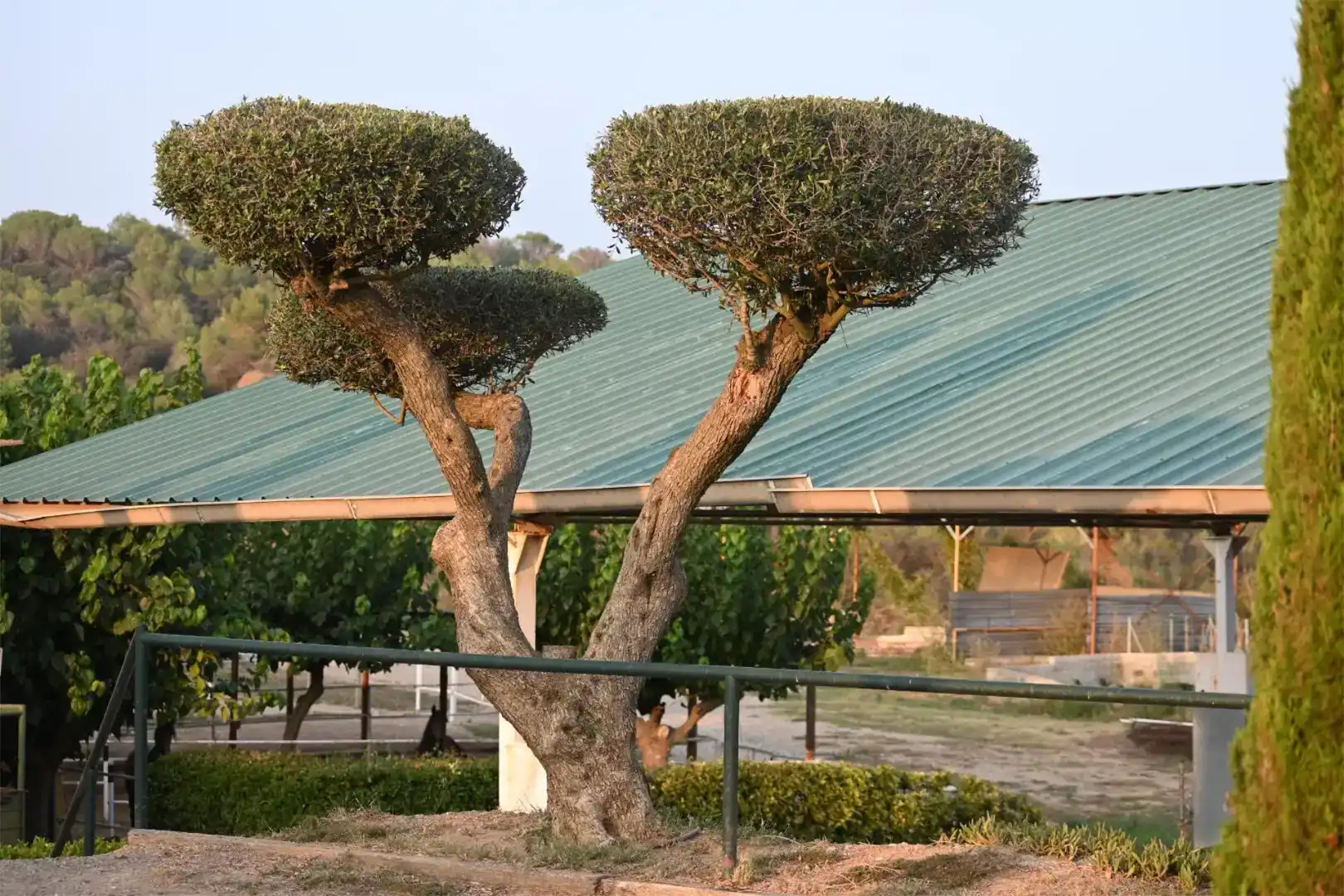 Jardí de Finca rústica en venda en Piera amb Aire condicionat i Piscina